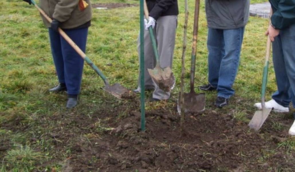 7818301a1182ce3bb8624189791faf3e