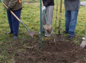 Обращение мэра