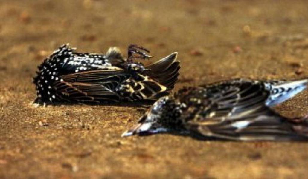 ae41bf1f2ab3c7d4b1c50b707f02b0d1