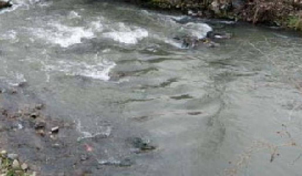 eca3d3de4dbb32227458371fae18f4e4