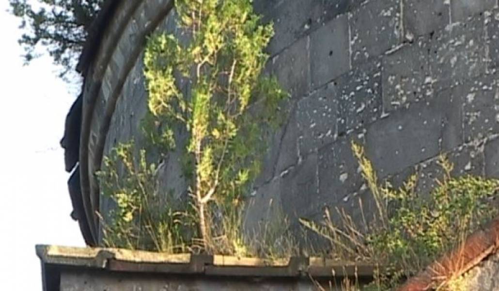 0ac8f6e309decfdc546f21822312f3fe