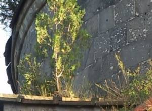 Что является основанием для сноса Санаина?