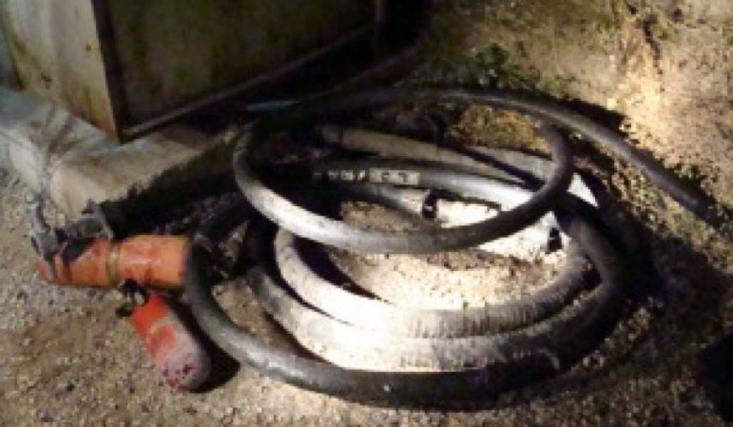 1b515ccf9118edd570369631f2482393