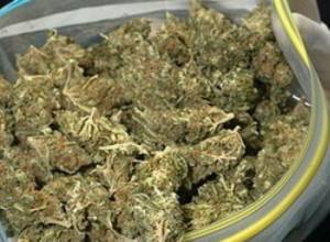 Марихуана в автомобиле