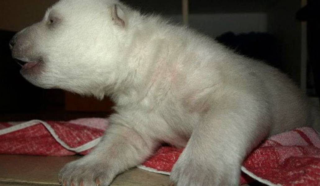 22ef6e5fe2ac8d7ae92345386f39284c