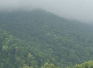 Движутся в сторону Тегута