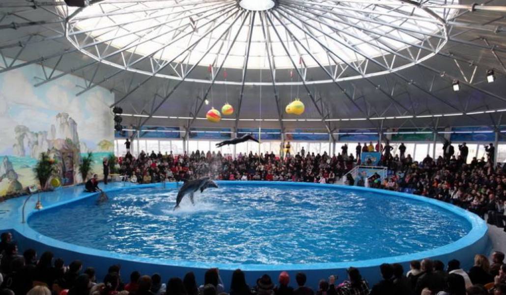 ca7dc9d132de666a79edc253c03ee058