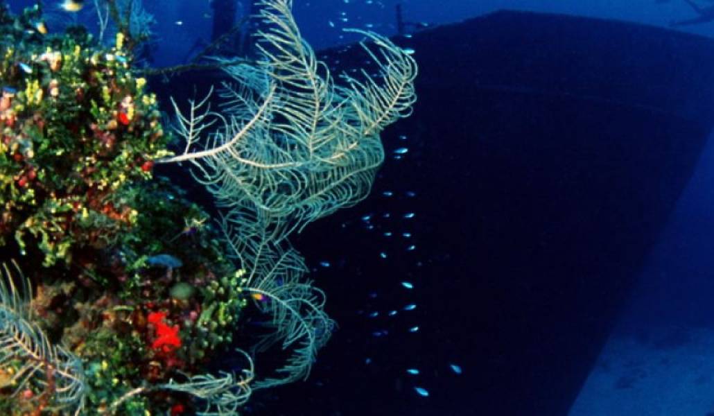 3957338bffb0f1686723aaabf08d539d