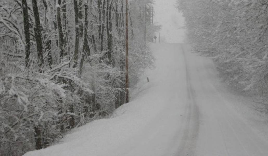 a93c601cc12d069476460cdcb8e658a2