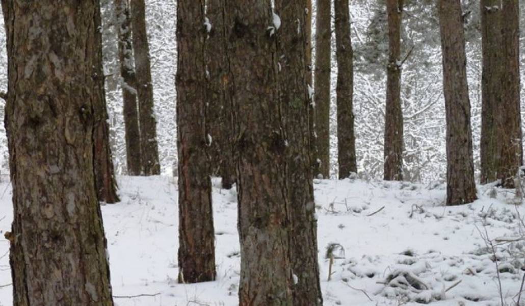 a6215bfa45270ac9929fcc110d5a46ab