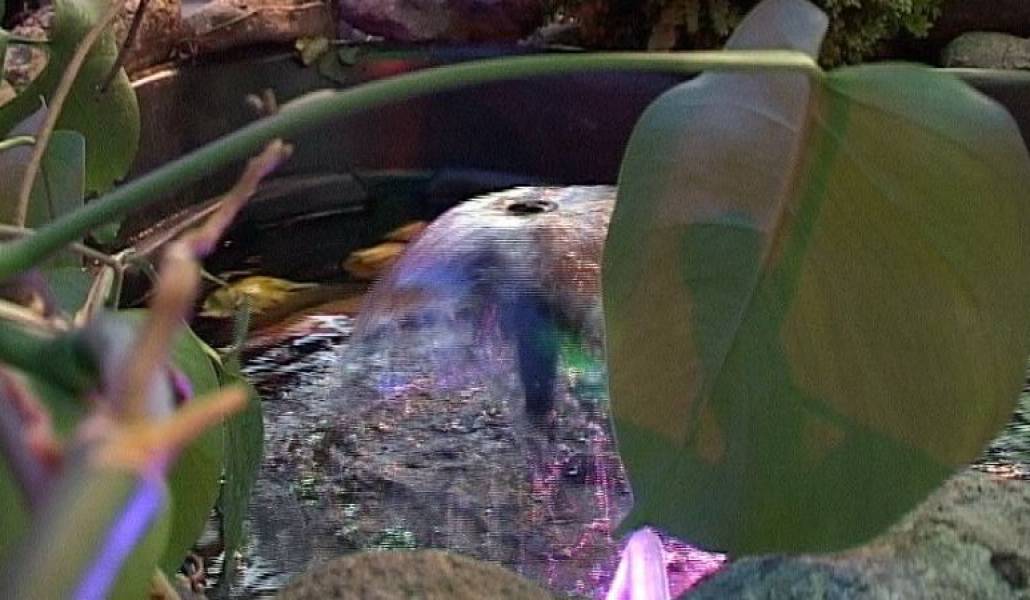 818f291a428f669d97bb808b38b71e4f