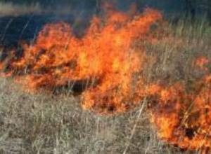 Сено для скота - добыча огня