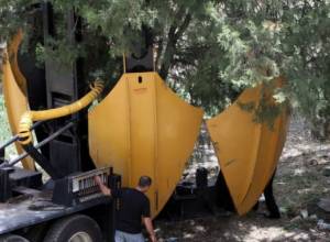 В центре города выкорчевывают деревья