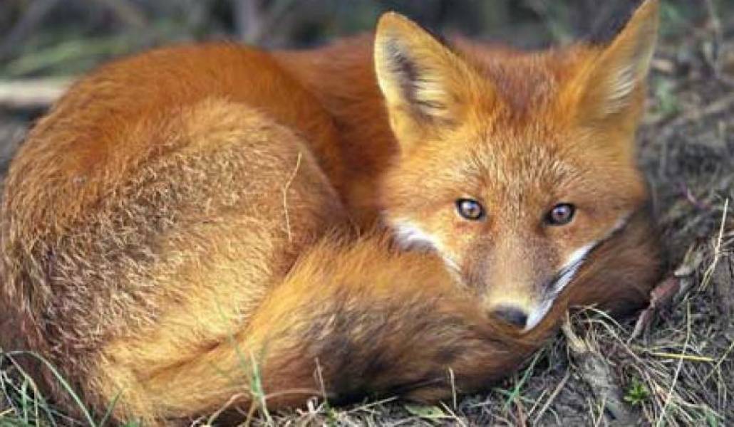 a0a2a5f8dfecdc60129fe14c134c022d