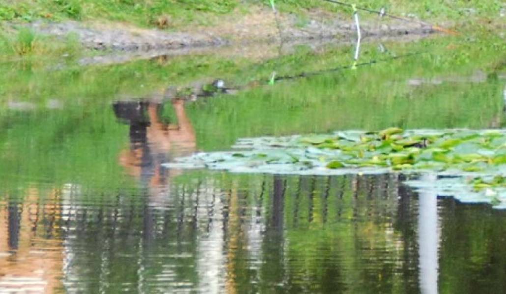 4a93a480e6e5bac530461d6dd0896c63