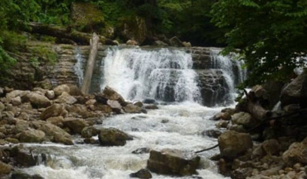 f6f166853b4dc4737edfefb0ec9916c1