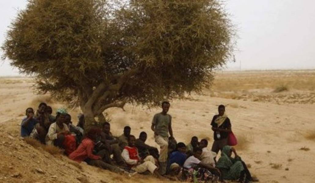 8577d67ea9bd6e34a74edf4c64c602b3