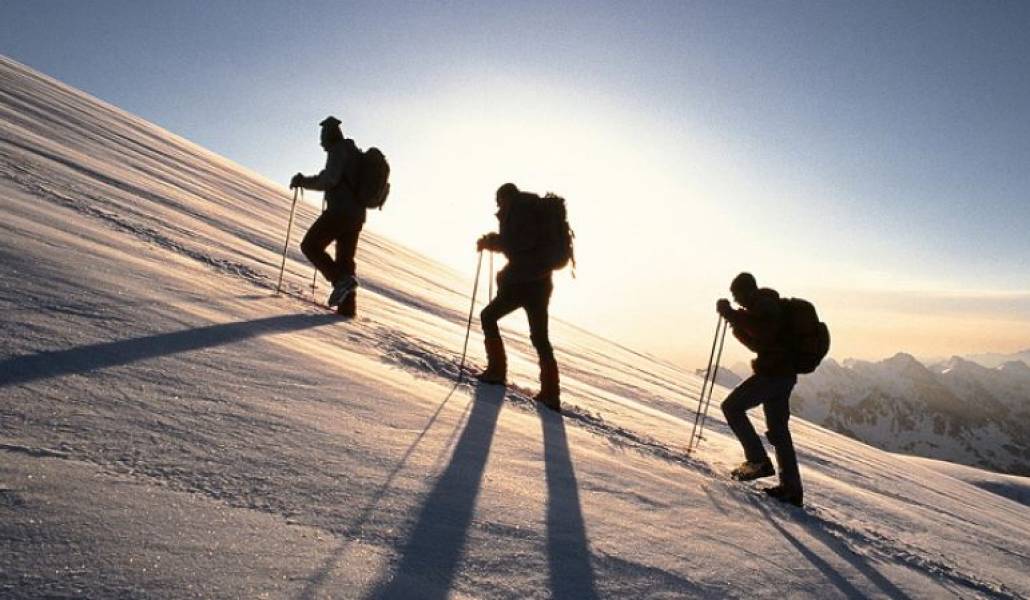 1069c39ea29374bf48c28c98c5f50393