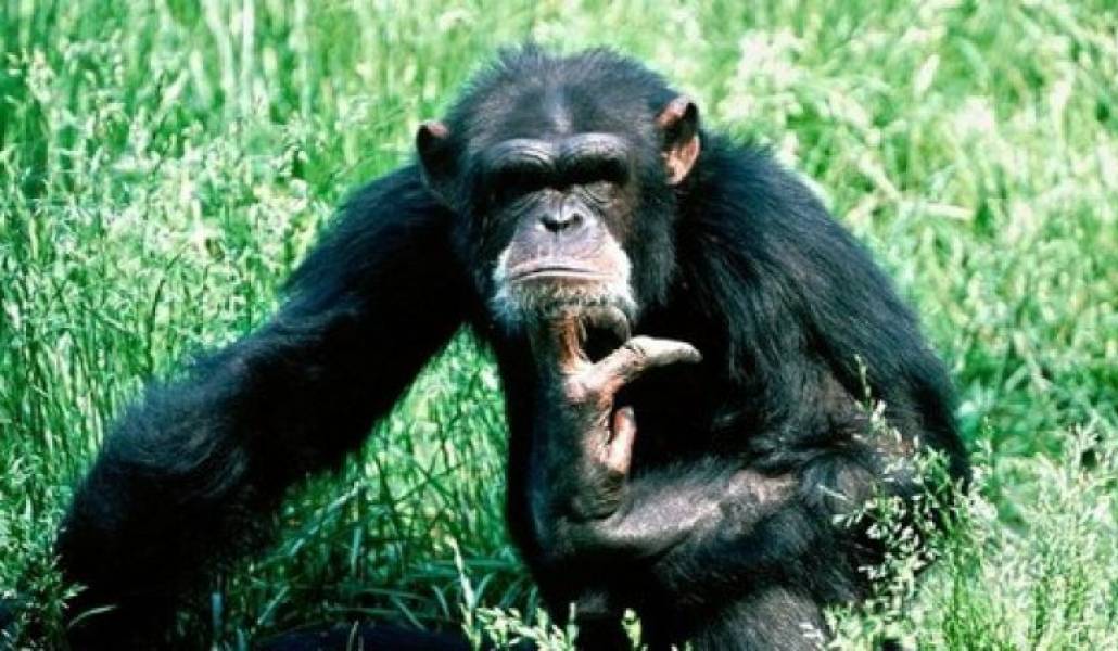 8ea75f511fc297ba07f6be52eb3d3018