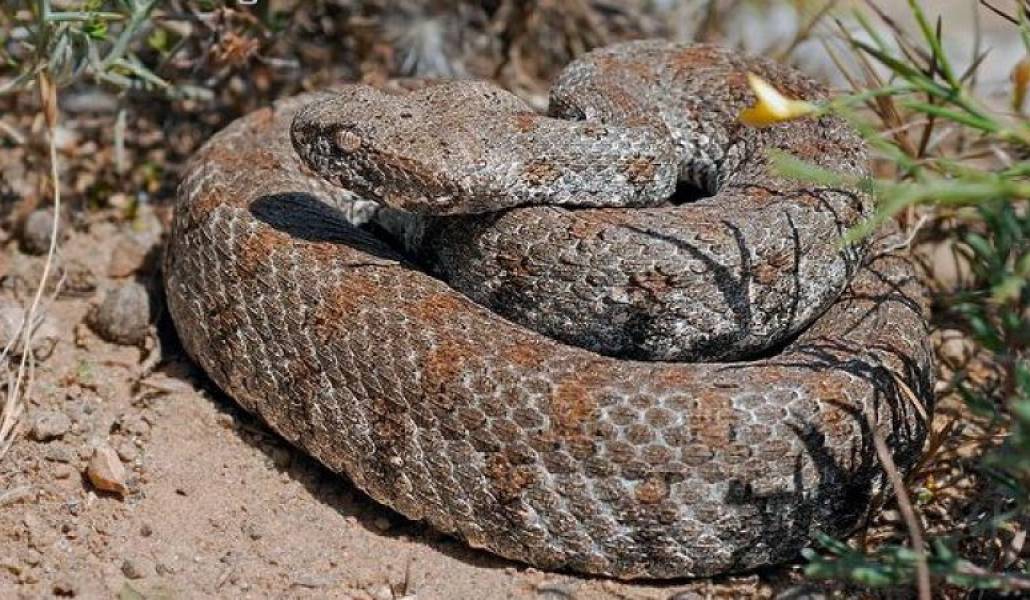 3abc8752483bc050865102290f31612b