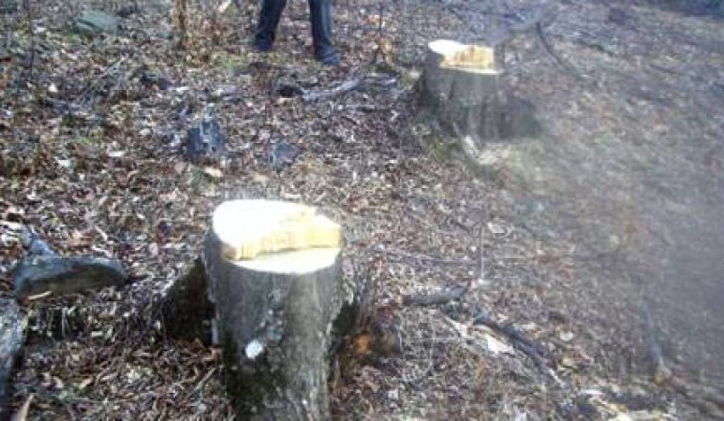 a5846e16ec80da037a29a7fd0ce2f8e3