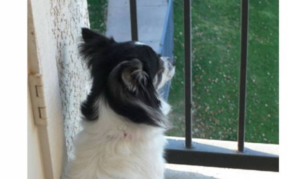 e4c8a029a4e26a9a688a8438d3f7f78a