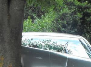 Автомобиль столкнулся с деревом