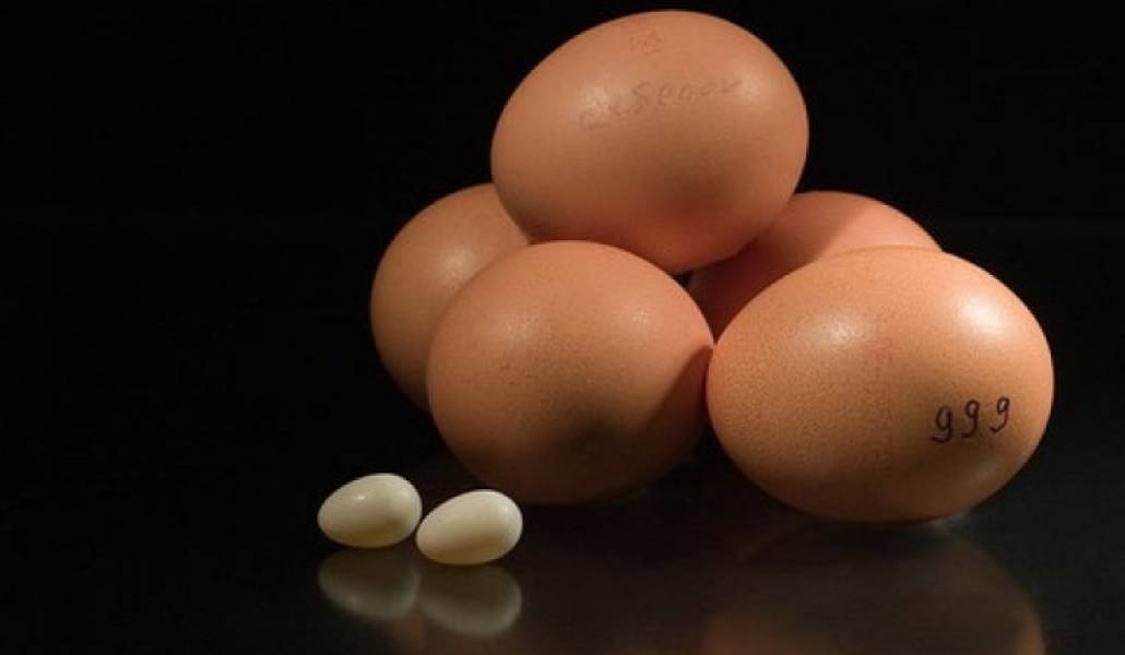 2b03a5bf468748265e4f200a71e783ce