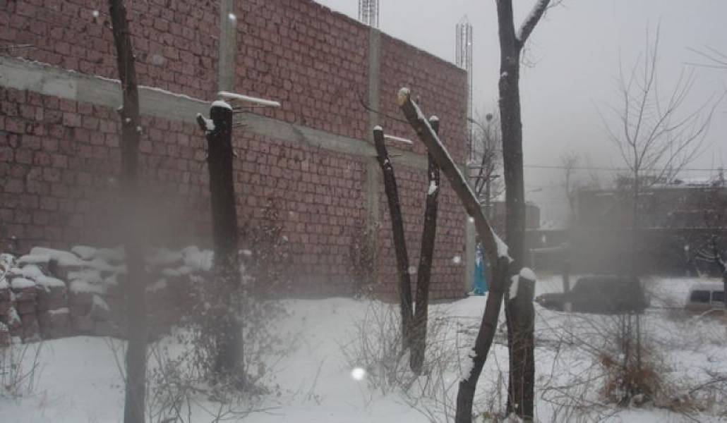 352de7cf4699b94a3615e708a43e76f8