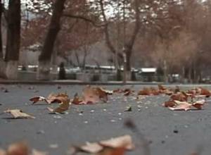 Ветер принесет снег?