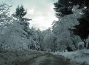 Дороги в основном проходимы