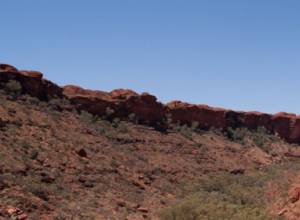 14-летняя девочка скатилась в овраг