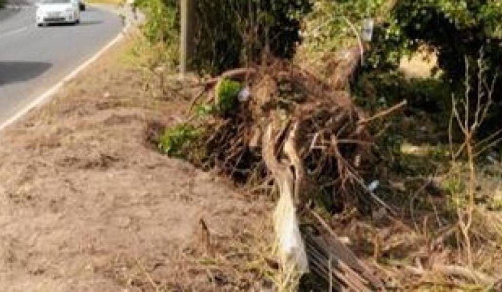 b67c053d134e5a2e2f4722aa0849b6a0