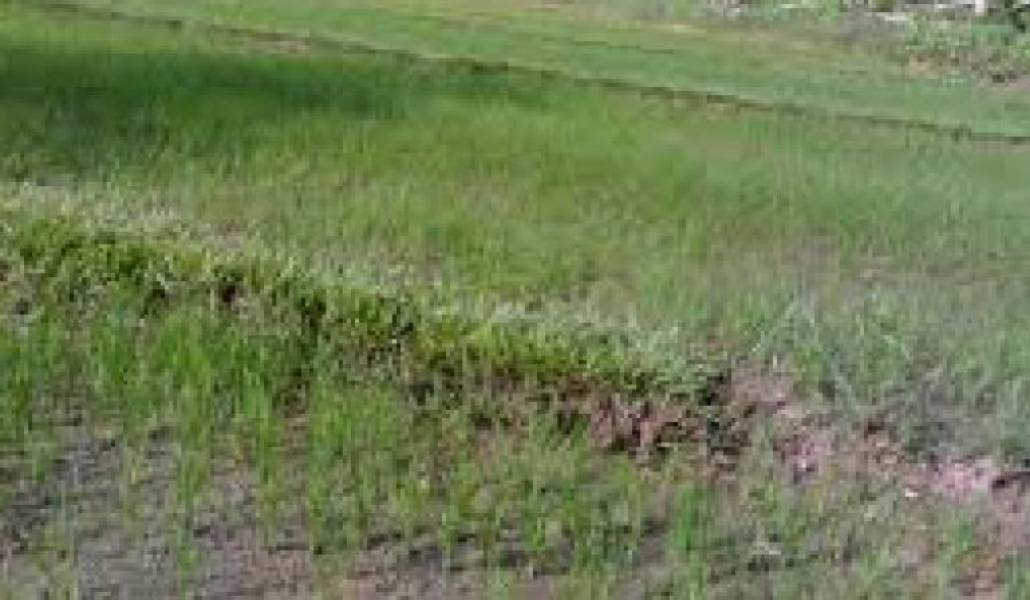 1184aca9b7c17e3fb700c8179900bfb3