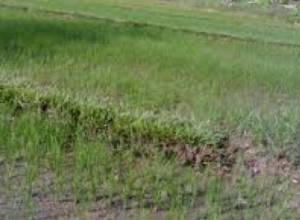 Создан центр гуманитарного реагирования