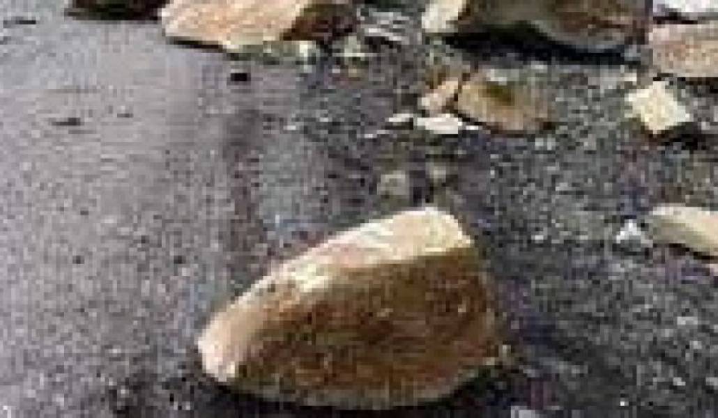 e2b9e6d034a5e44a20656fa32afbc850