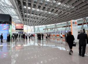 Подвергнут приводу с борта самолета