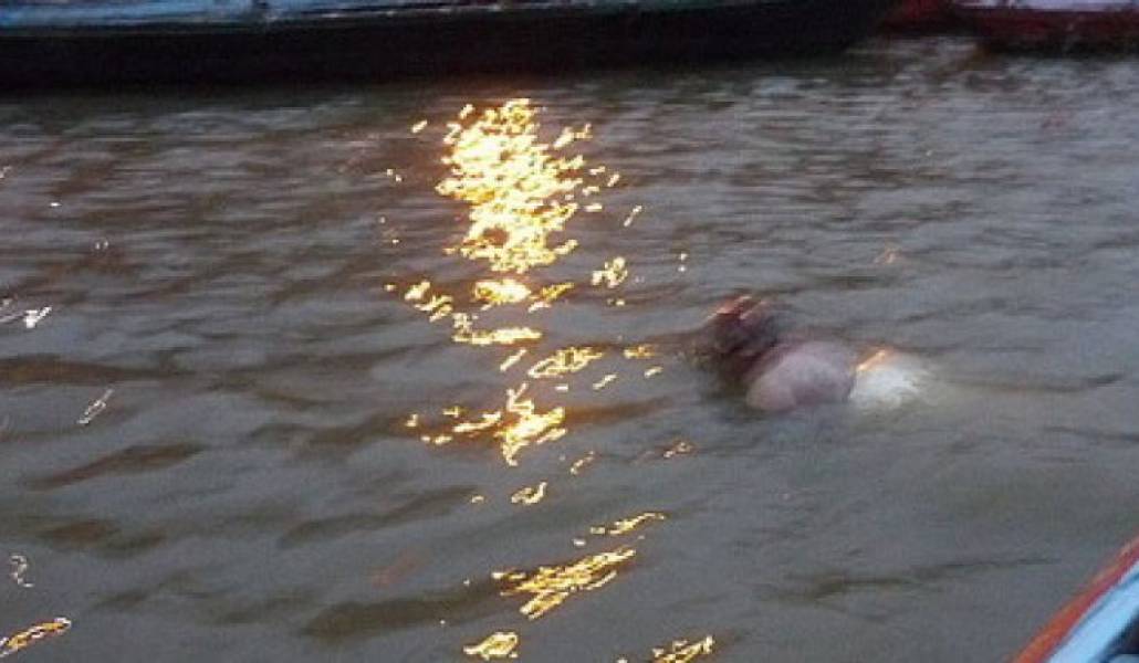 5262d9b2d19628ec746bd272d61c0c15