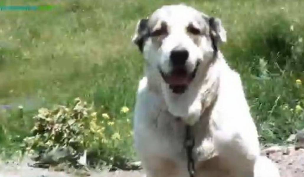 d2346229124766fa618e5a2453899b89