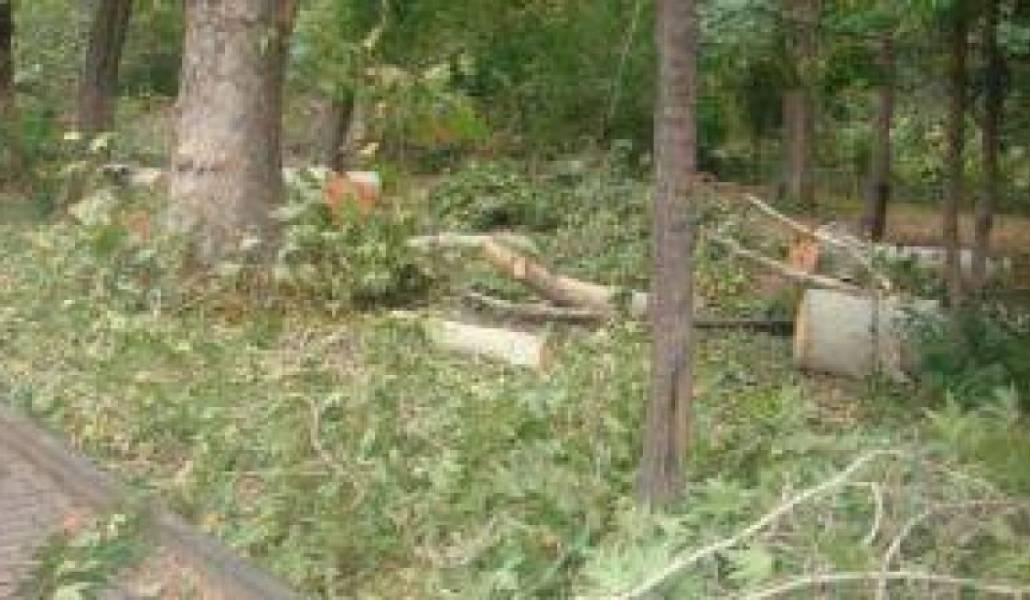 ccb69ceda7ca0eed1c280262adbf3af9