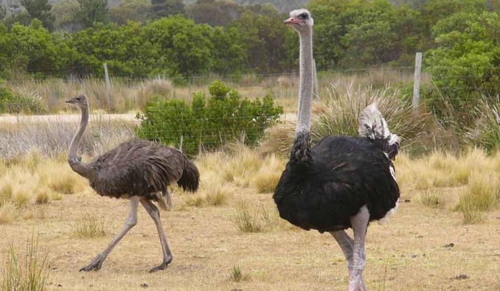 ec54acc379cb7520d97fd55e025e2f30