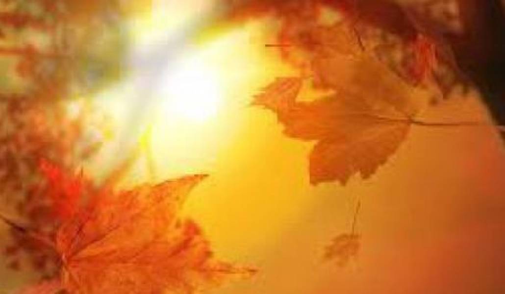 ba4a2a642074dbac31f2fabfe5ac6ebe-472x265