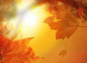 Выставка-продажа «Прекрасная осень»