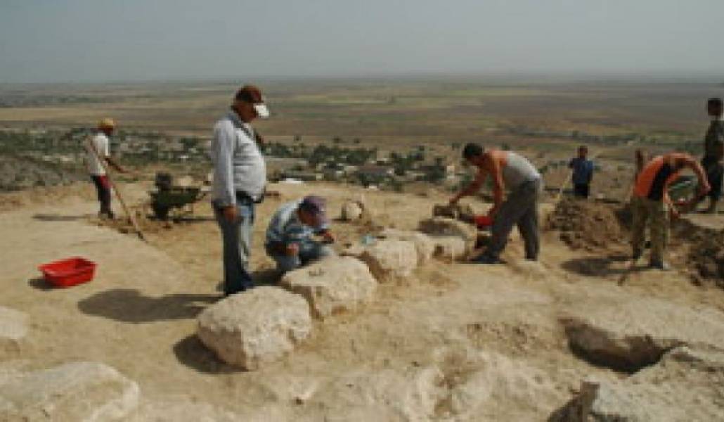 fdb00f7ff63cbed71ad4b98948ddd033