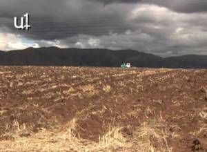 Урожай зерна скуден