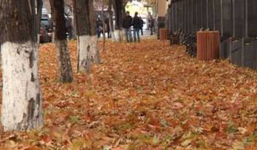 92d27665858911bfd7ad4f8d77bd2894