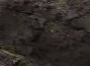 Weekly news digest from regions