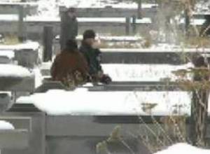 Weekly news digest from regions