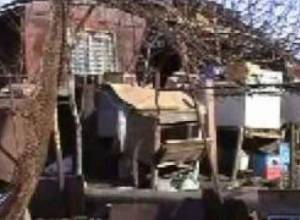 07.03.09 "KIRAKI" Information-analytical programm