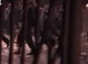 News digest: A1+ mobile